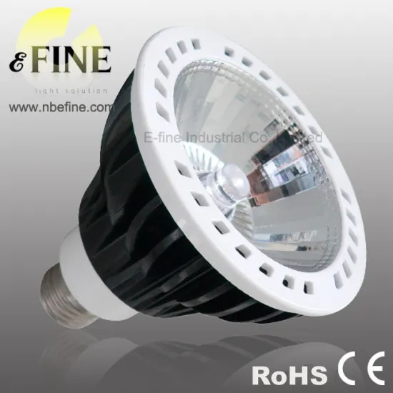 COB 13W PAR30 LED BULB