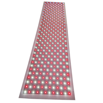 Full Spectrum Panel LED Grow Light for Hydroponic Plants