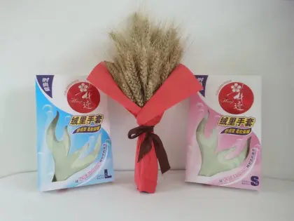 PVC household clean and Warm gloves