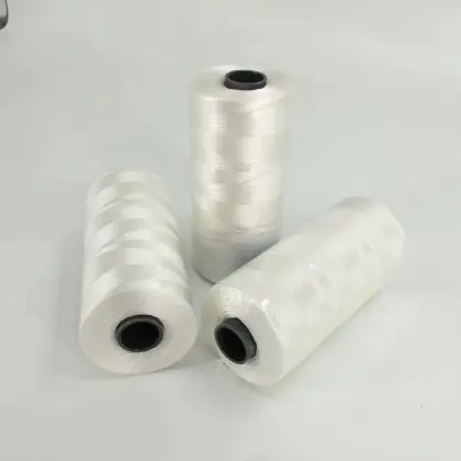High Quality 210D Z/S Twist Nylon Twine Thread from China