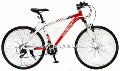 MTB Mountain Bicycle with Shimano Derailleur (FT-SDC-043)