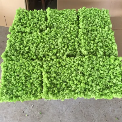 Real Iceland Moss Wholesale Moss Plate 30x30cm for Moss Art Panels