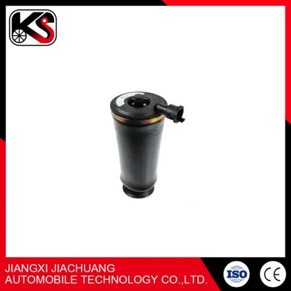 Low Price Shock Absorber W220-ARNOTT PART C-2242 Air Suspension