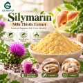 Silimarina 80% Extrato de Cardo Mariano com 30% –50% de Silibina