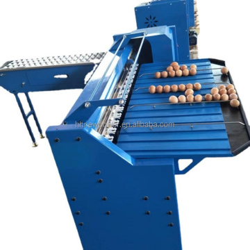 Hot Sale Custom Made Poultry Egg Separator and Grading Machine