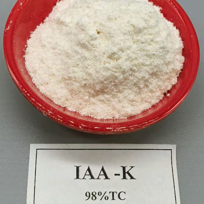 auxin IAA Indole-3-acetic acid Potassium salt IAA-K (3)
