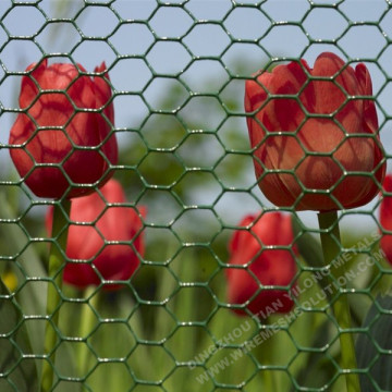 Tela metálica hexagonal recubierta de PVC verde