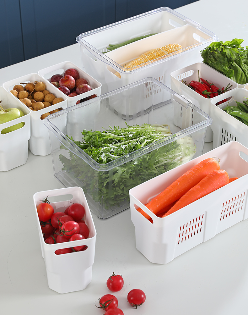 1761359053i_translation_pro1525180