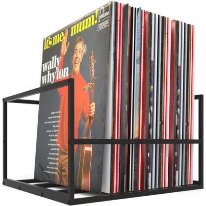 Metal Solid Steel Detachable Vinyl Record Album Storage Rack and CD Holder: Organizing Your Music Collection