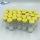 99% High Purity Peptide CAS 129954-34-3 Selank Powder