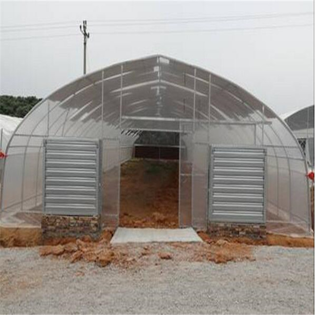 Galvanized Frame Single span PE Film greenhouse