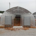 Tunnel Plastic Film Greenhouse for Vegetables Flowers