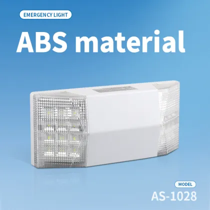 Exterior Emergency Egress Lighting Double Head