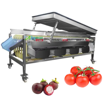 Multi-Fruit and Vegetable Size Sorting Machine: Orange, Avocado, Apple, Mangosteen, Calamansi, Garlic, Onion, Tomato Grader
