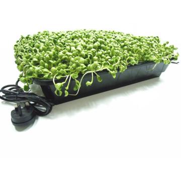 Seeding heater plate tray with FAR IR