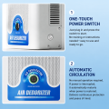 FL-D805C Deodorizator de aer cu plasmă montat pe perete