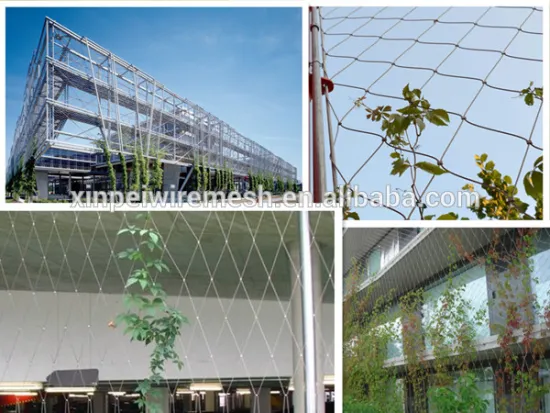 X-Tend Architectural facade stainless steel cable mesh(factory with ISO9001)