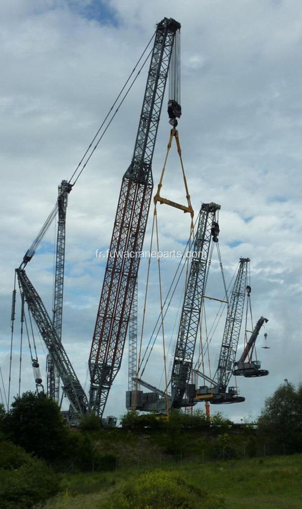 Une grue à châssis avec un prix raisonnable à vendre