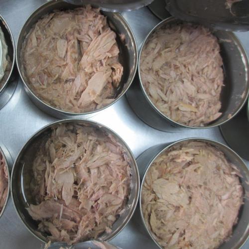 Tropical Canned Tuna In Brine Shred And Flake