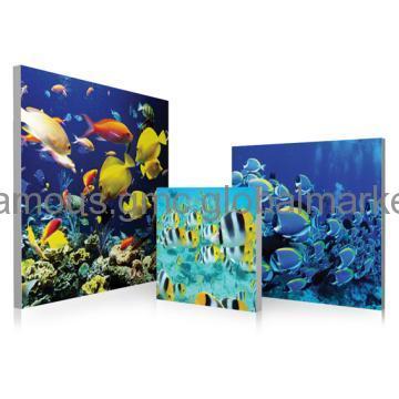 Seascape Painting with Beautiful Fish