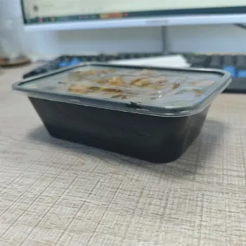 PP plastic disposable ready meal box