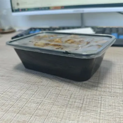 PP plastic disposable ready meal box