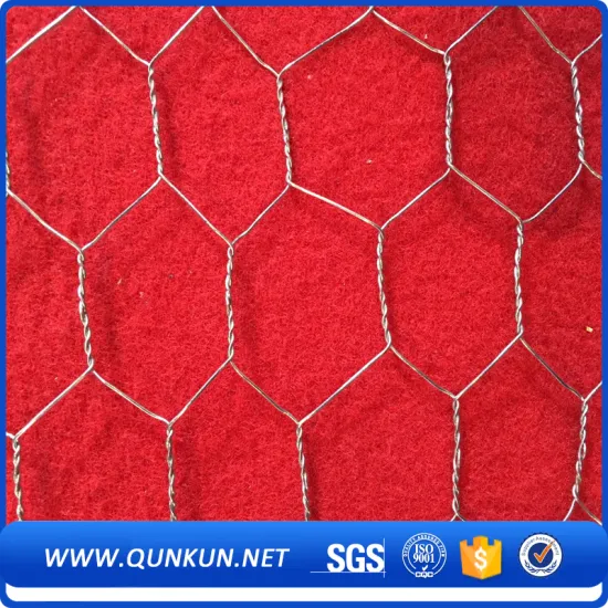 1/2 Inch Galvanized Hexagonal Wire Mesh Netting