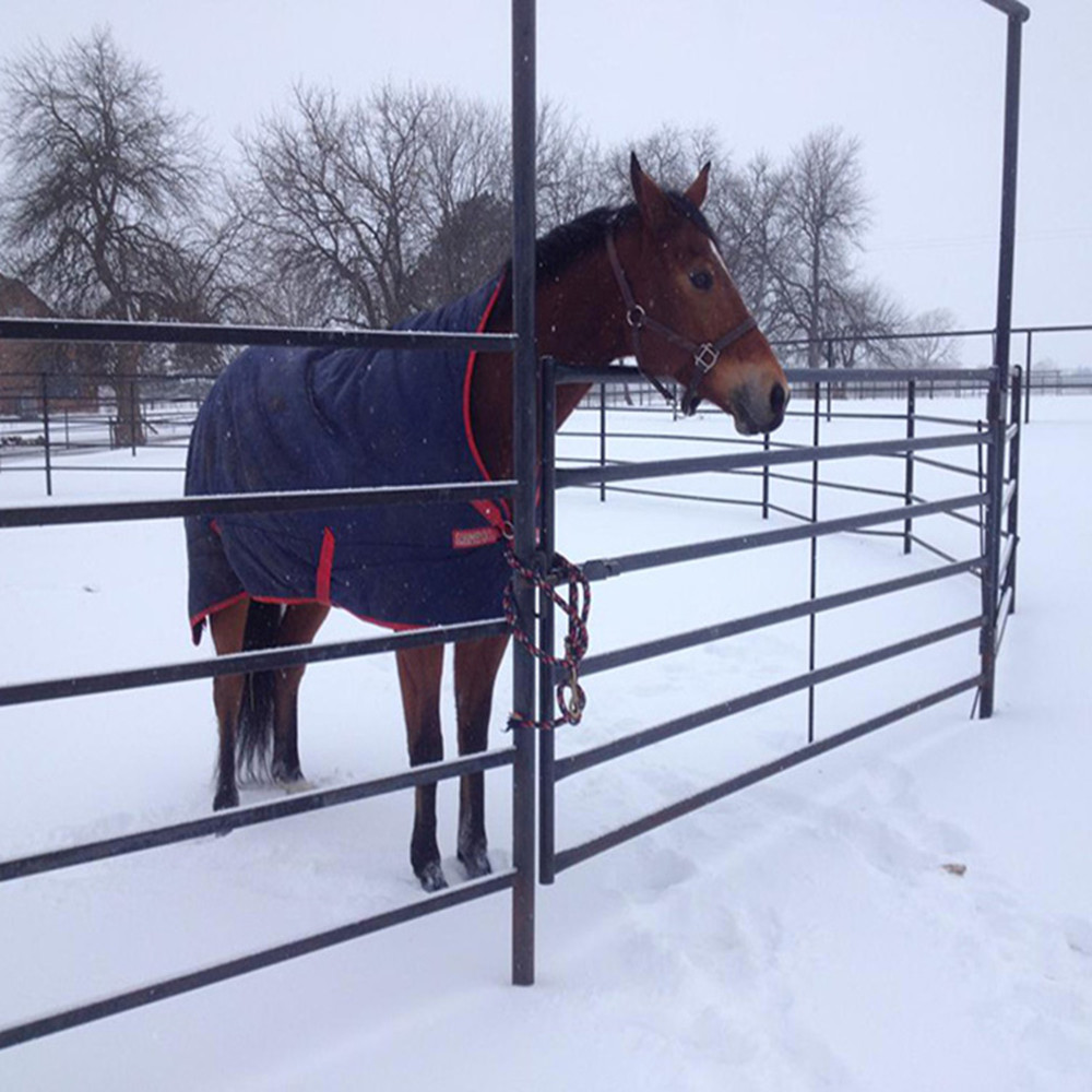 Horse Fence Powder Coated