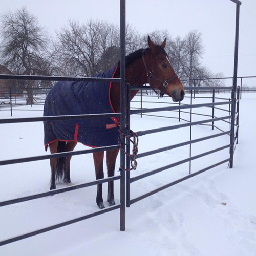 Gebruikt voor Livestock Panel Cattle Fence Horse Fence