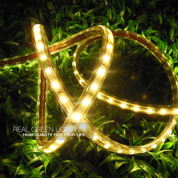 High Wattage 240V IP65 SMD 5730 LED Strip Lights