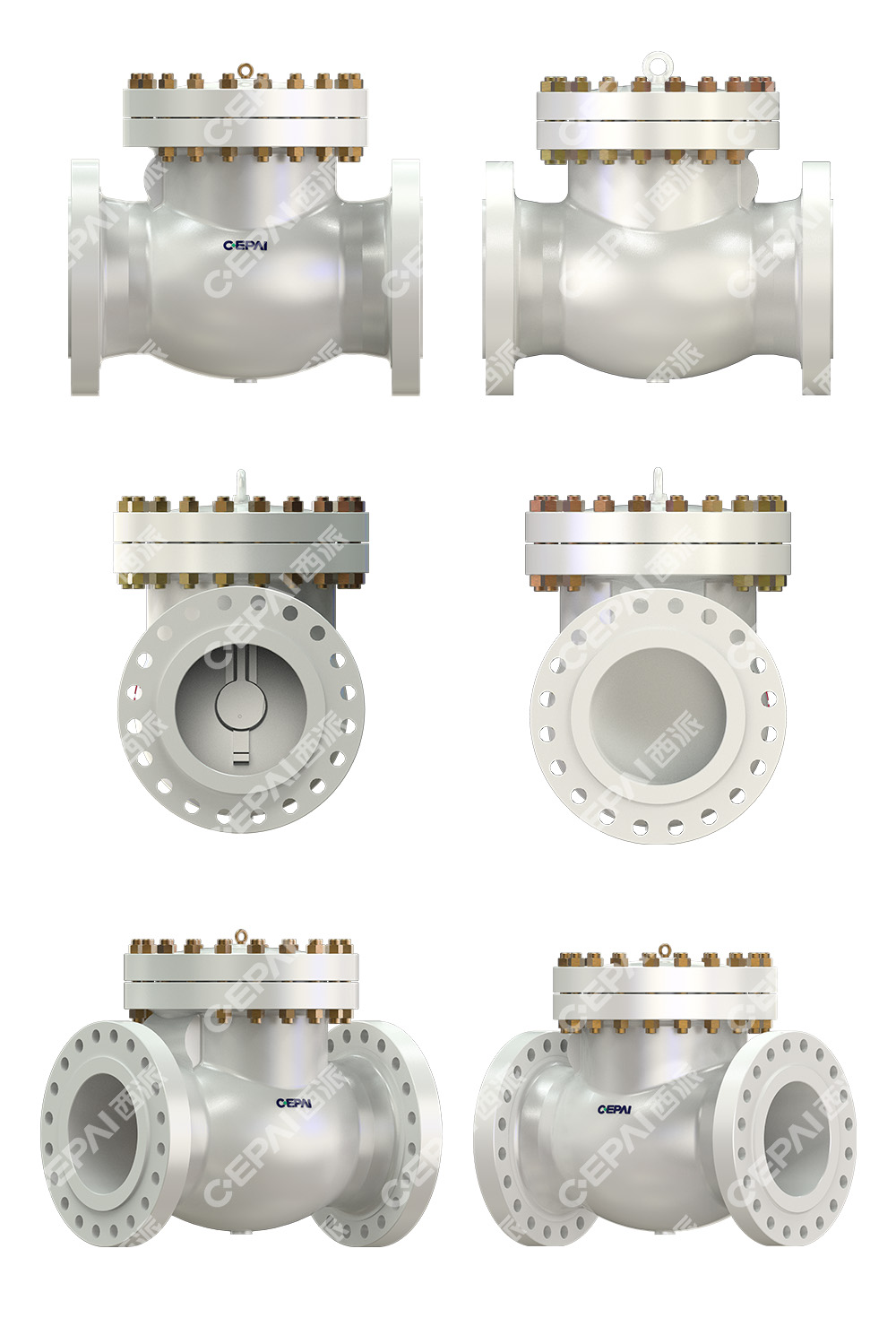 Casting Swing Check Valve1-1