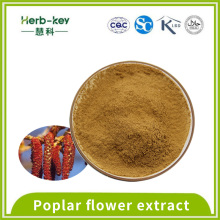 10:1 ratio of poplar flower extract contains flavonoids