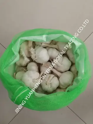 WEST AFRICA MARKET GARLIC