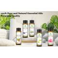 Best Selling Skin Care 100% Natural Turmeric Oil Quality Assured cosmetic Grade Turmeric Essential Oil