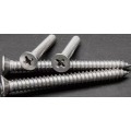 SS316 M3 DIN7991 CSK Head Screws