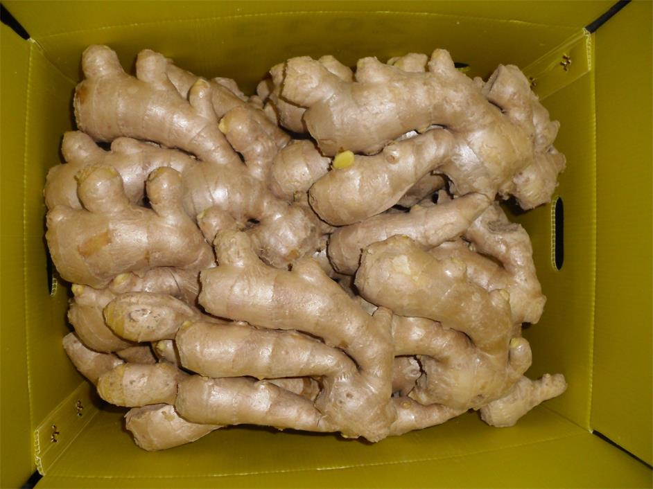 air dried ginger