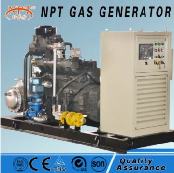 CE approved 50kw biogas generator