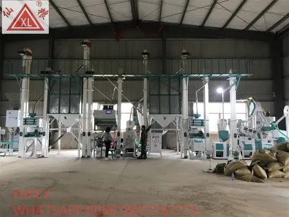 1 Ton Per Hour Rice Milling Equipment | Satake Rice Mill