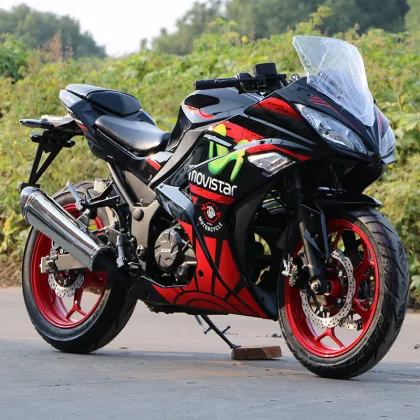 Roywell Fuel Injection 250cc Adult Gas Motorcycle, Dirt Bike, and Street Motorcycle Bike: Your Ultimate Riding Solution