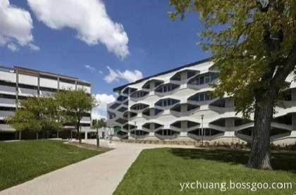 One stop purchase Tryptamine CAS 61-54-1 dmt powder