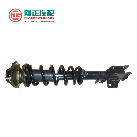 Wholesale Auto Shock Absorber Spare Parts: Spring Oil-Filled for DFM, JMC, BESTURN, SAIC MAXUS, CHERY, HAVAL