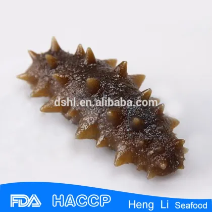 Cheap price korea sea cucumber
