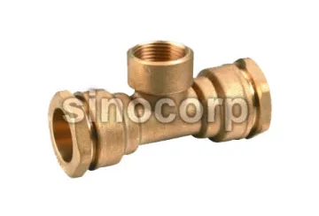 Pe & Pex Pipe Fitting with O-ring Tee Female