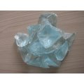 /msite/products/detail/productid/36709624/id/519469.html