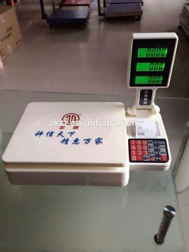 40kg Scale with Thermal printer&rs232