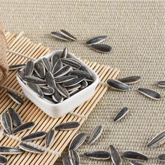 Raw Processing Type and Human Consumption Use confectionary sunflower seeds