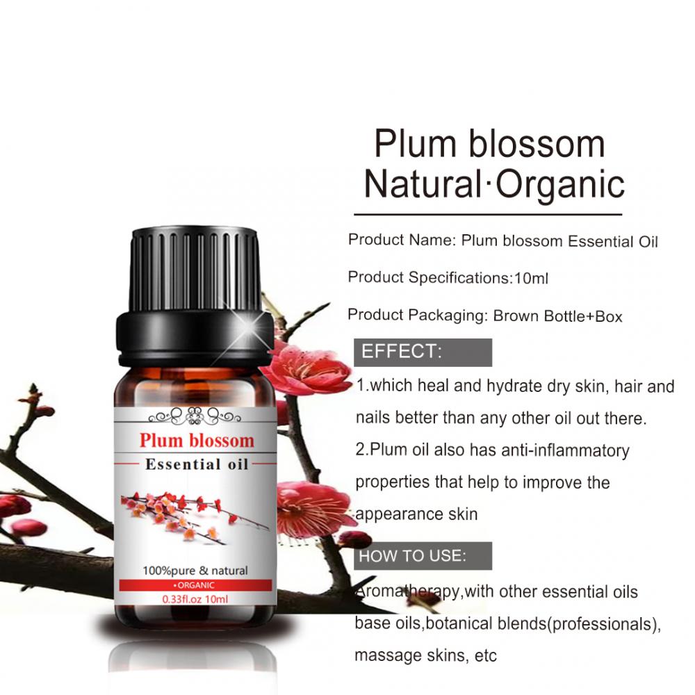 10ml mwili wa massage mafuta plum blossom mafuta muhimu kwa utunzaji wa mwili wa ngozi