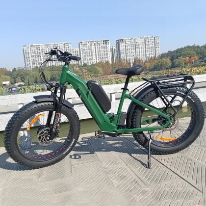 1500W Powerful Fat Tire Dual Motors AWD Electric City Bike