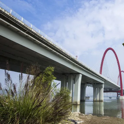 Isooctyltriethoxysilane paste