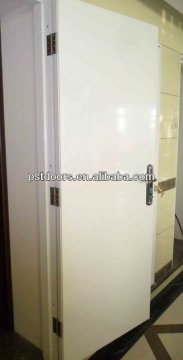 Metal Flush Door